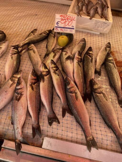 Casa Del Pescatore Di Ortigia Syrakusa Exteriör bild